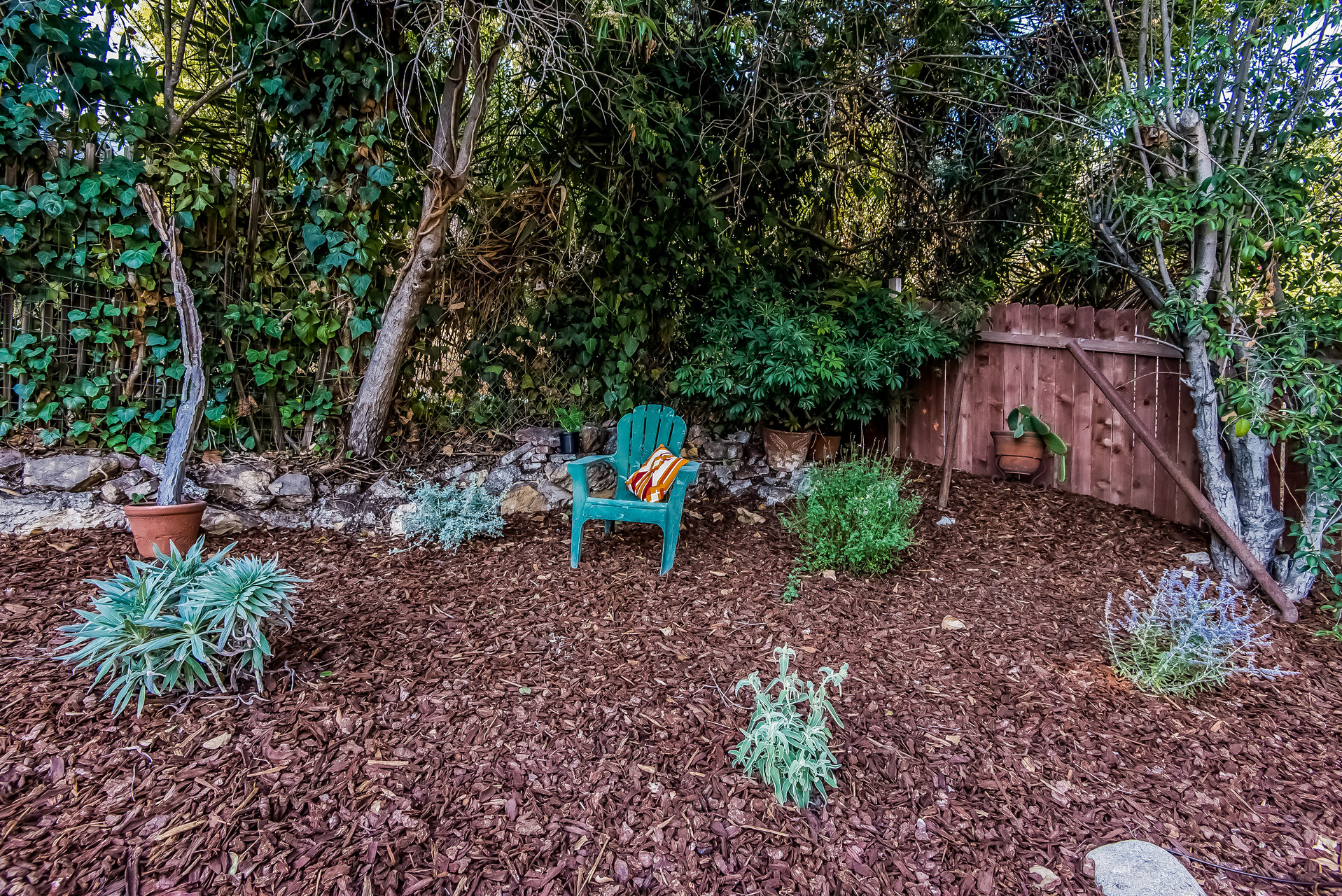 034-Upper_garden_in_backyard-2907683-medium.jpg