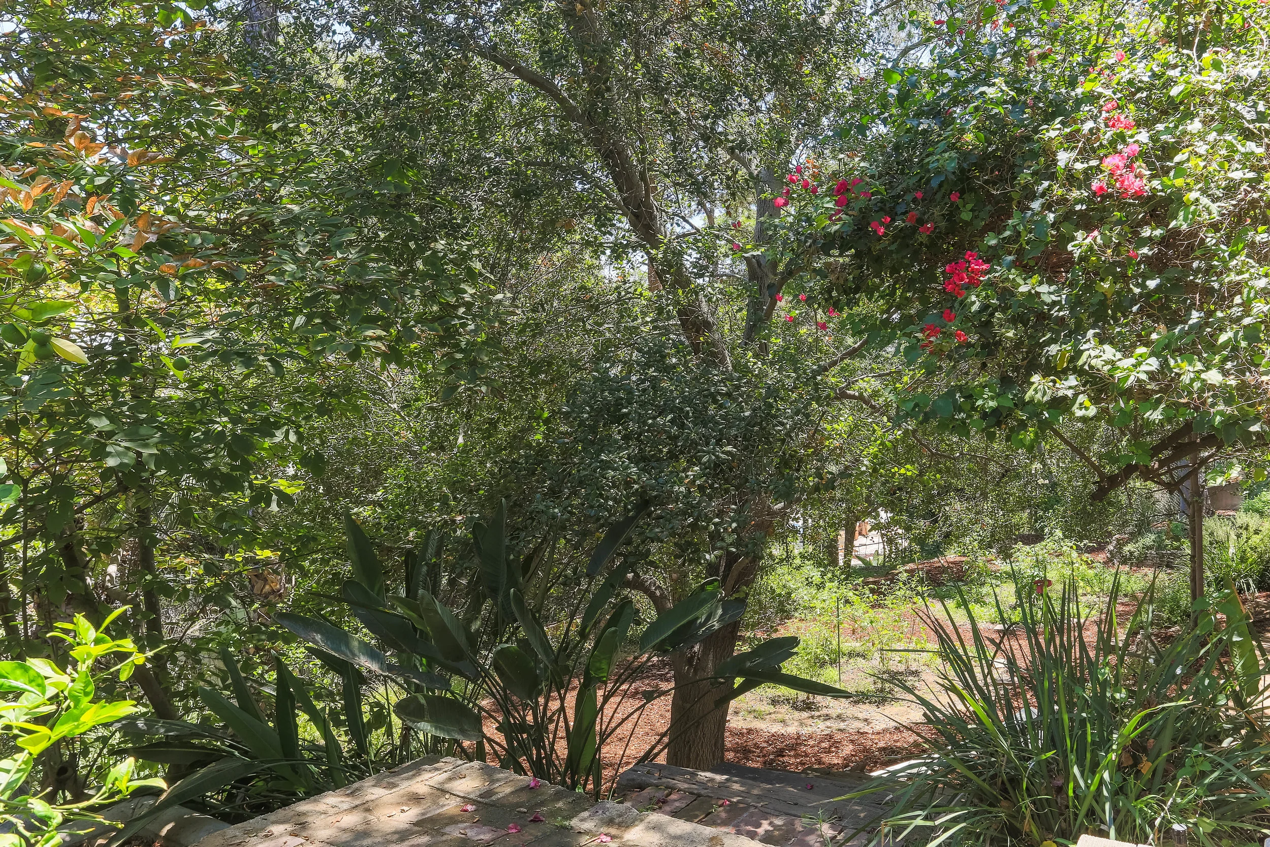 4458 Dundee Drive HsHProd-46.jpg