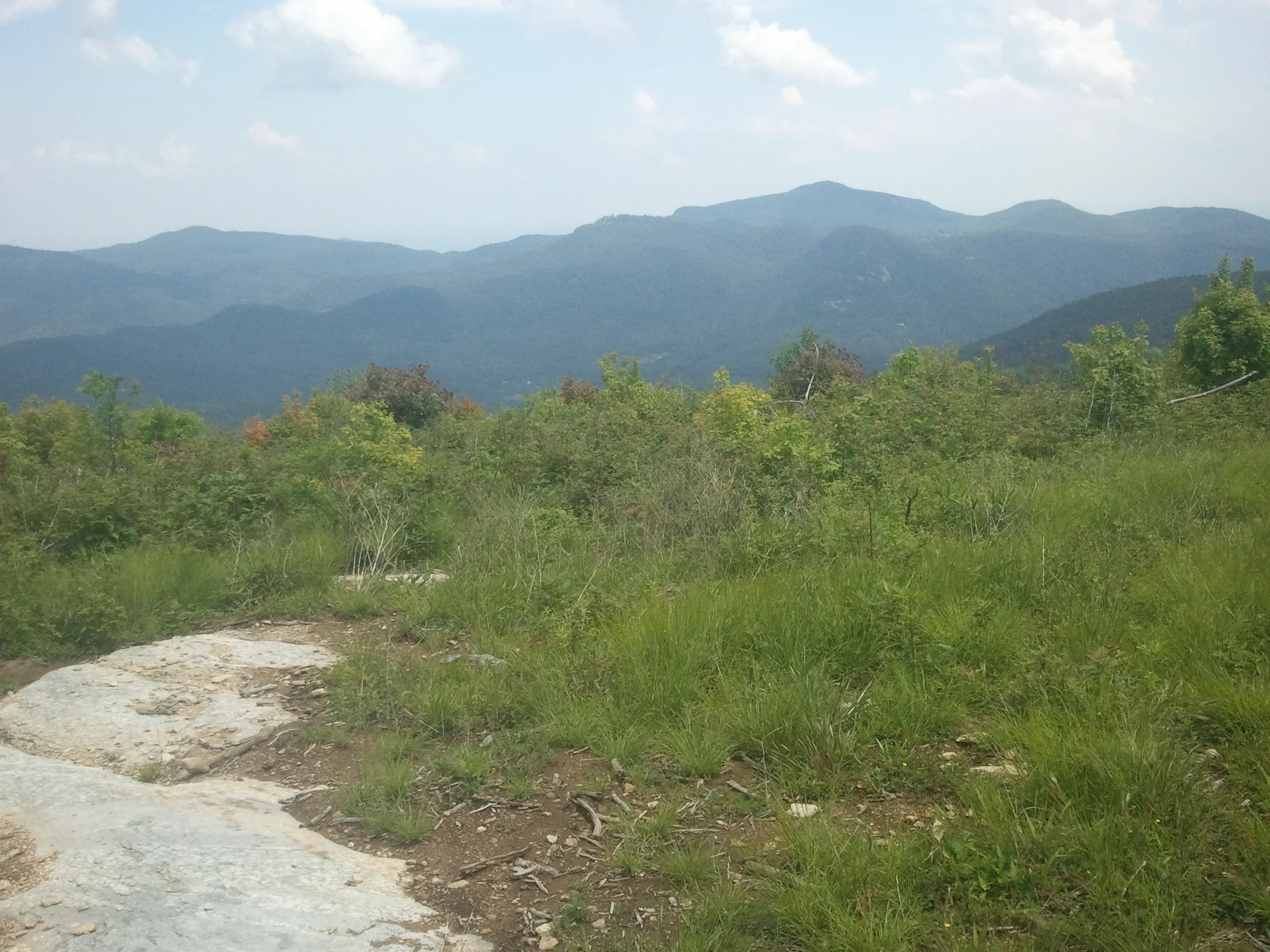 2012-05-24 14.47.21.jpg