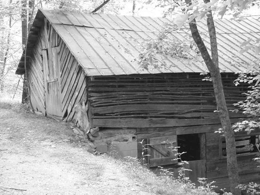 barnS.jpg