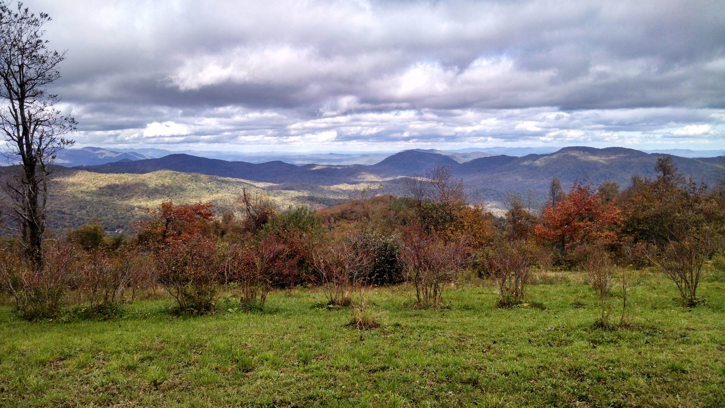 IMG_20141016_154224647_HDR.jpg