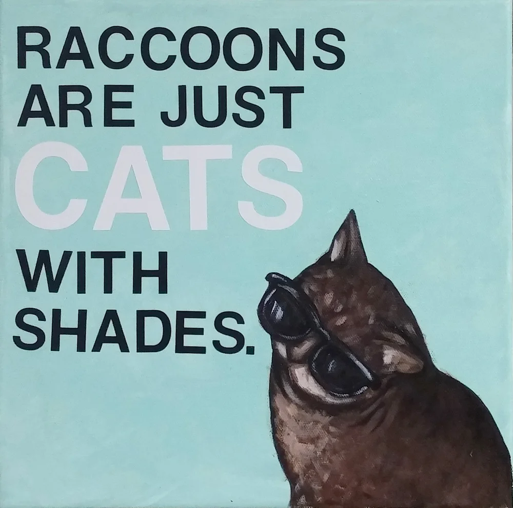 Raccoon+Cat_edit.jpg