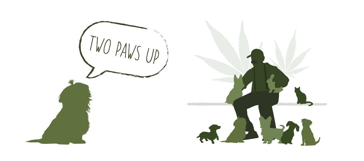 PawPaws_Website2-06.png