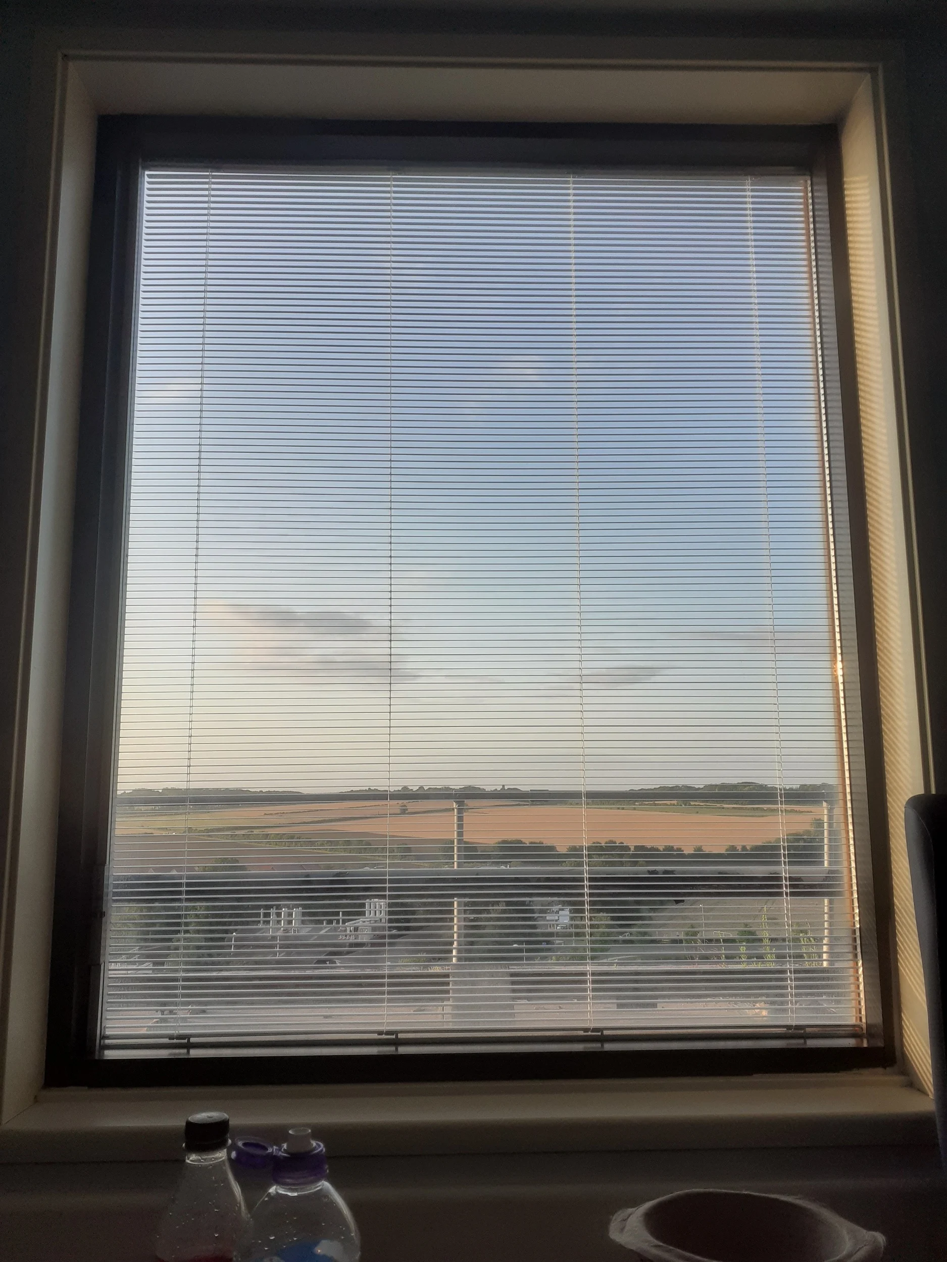 processed_20190819_063938.jpg