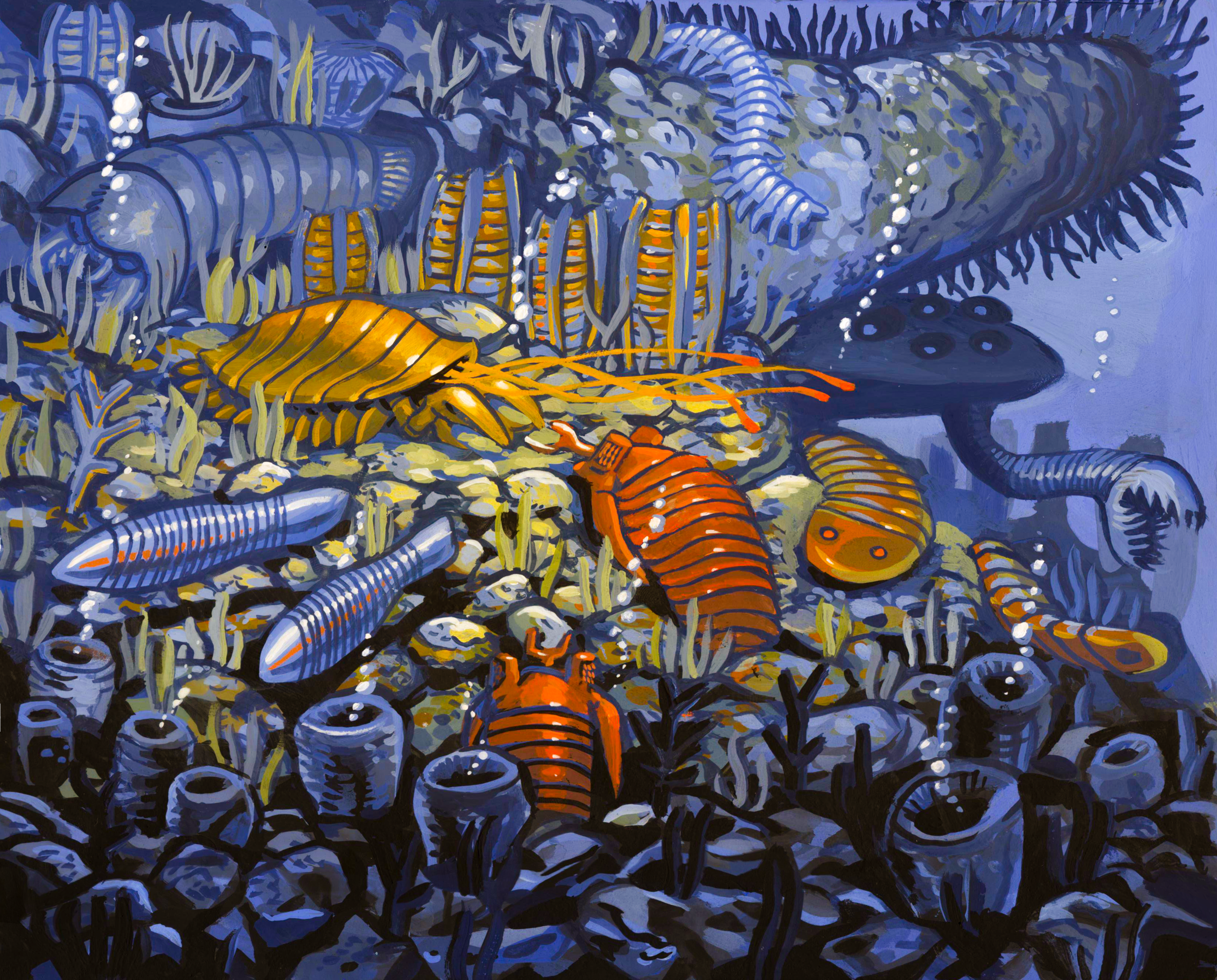 Cambrian Dream
