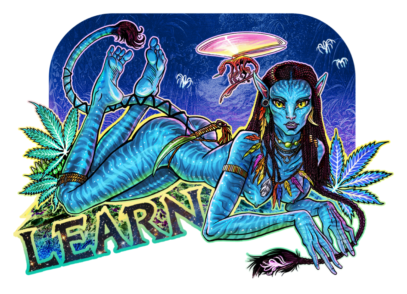 preview_file (1).png