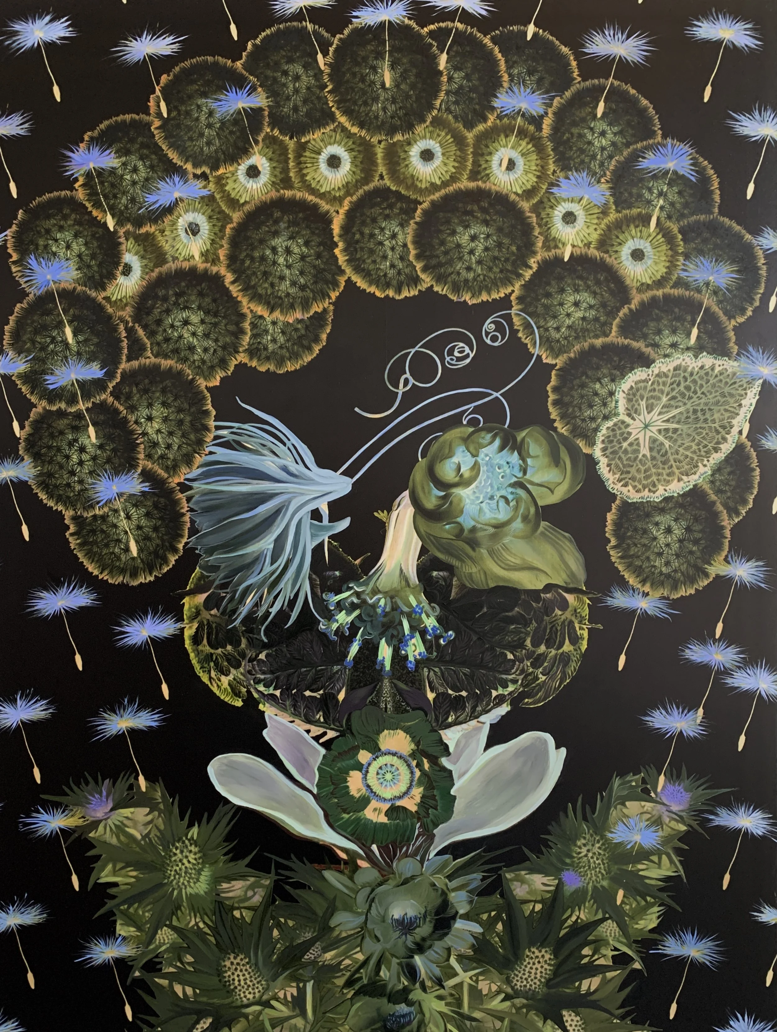 Dark Lovelies - "Wishy Woman"