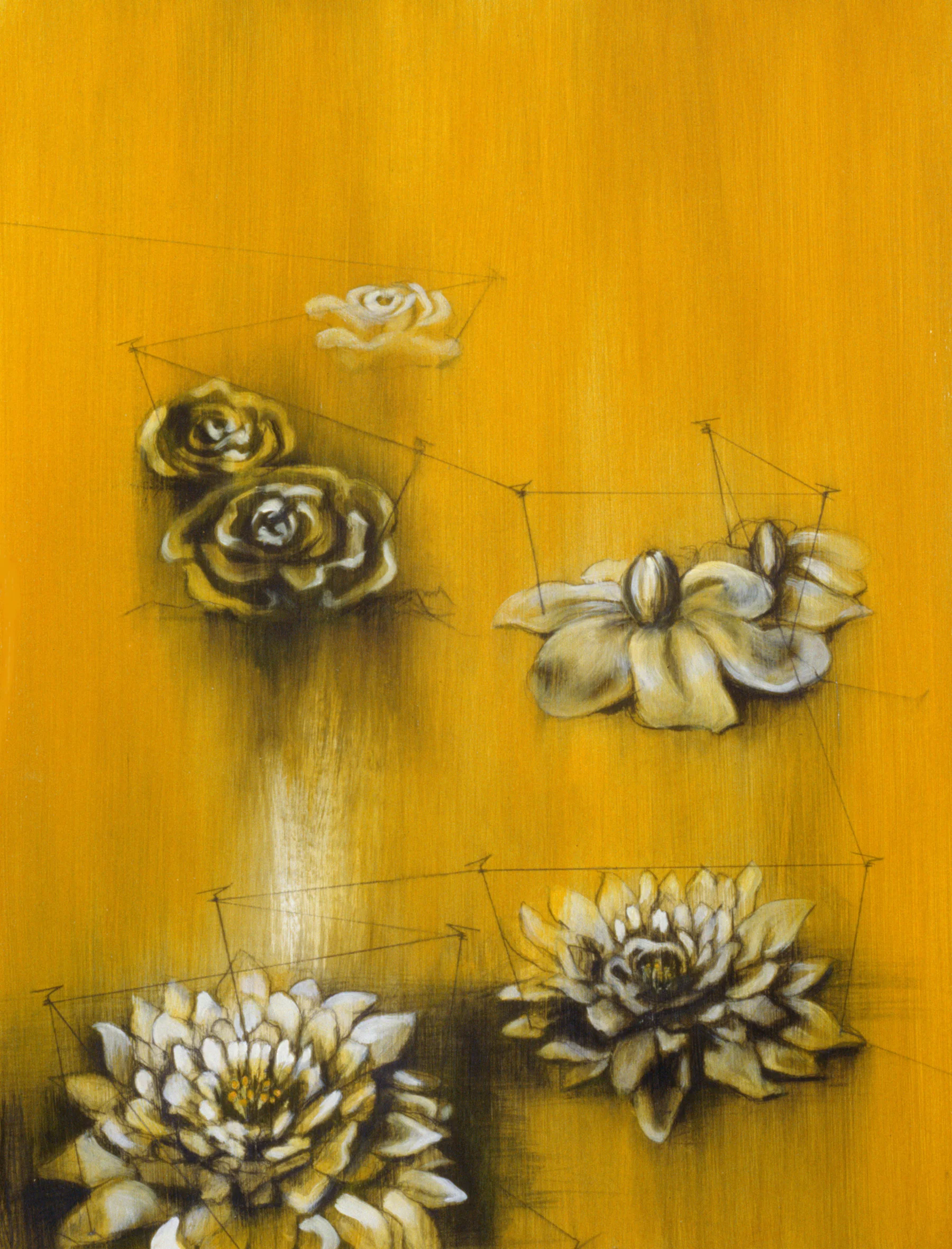 151230 Flower Heads 1_med.jpg