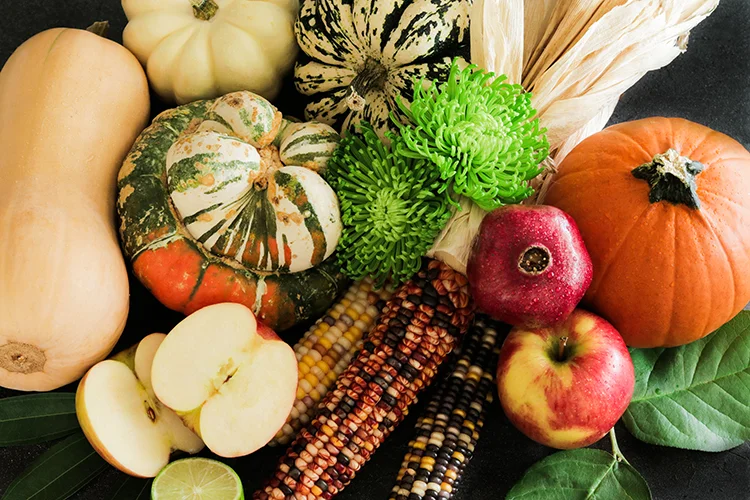 Fall Squashes Medley-5325.jpg