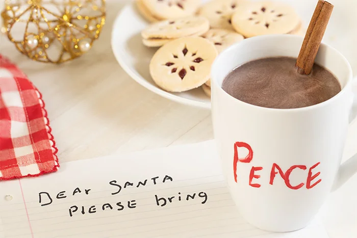 Dear Santa Christmas 2018-1V2Size-6933.jpg