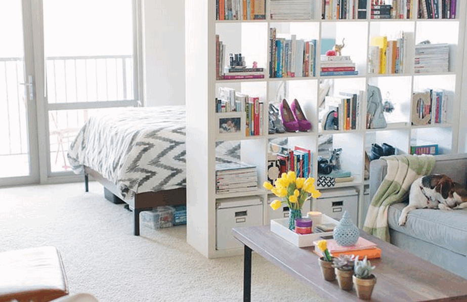 studio-apt-bookcase-divider-2015-08-07_1353.png