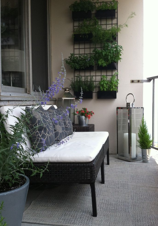 vertical wall garden on balcony source
