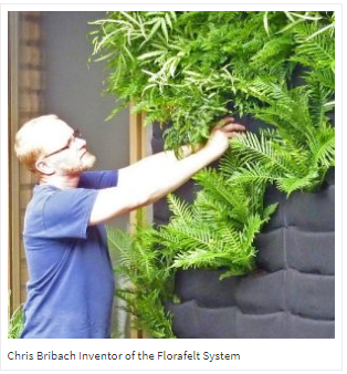 chris_bribach_for_florafelt_sys_2019-05-02_1731.png