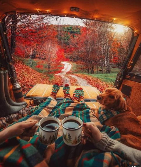 Fall picnic from a hatch-back car