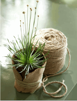 source BIDDecor.blogspot.com
