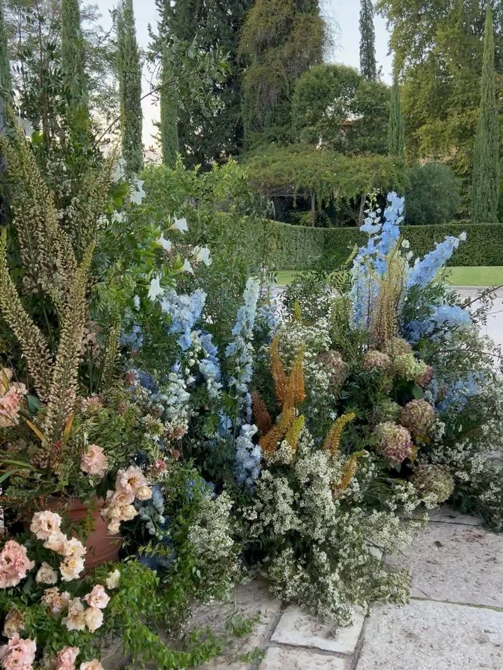 Foxtail lily, garden roses, lisianthus, delphinium, wax flower &amp; pistachio for K&amp;G&rsquo;s ceremony at @villalamassaflorence with @gatherevents
