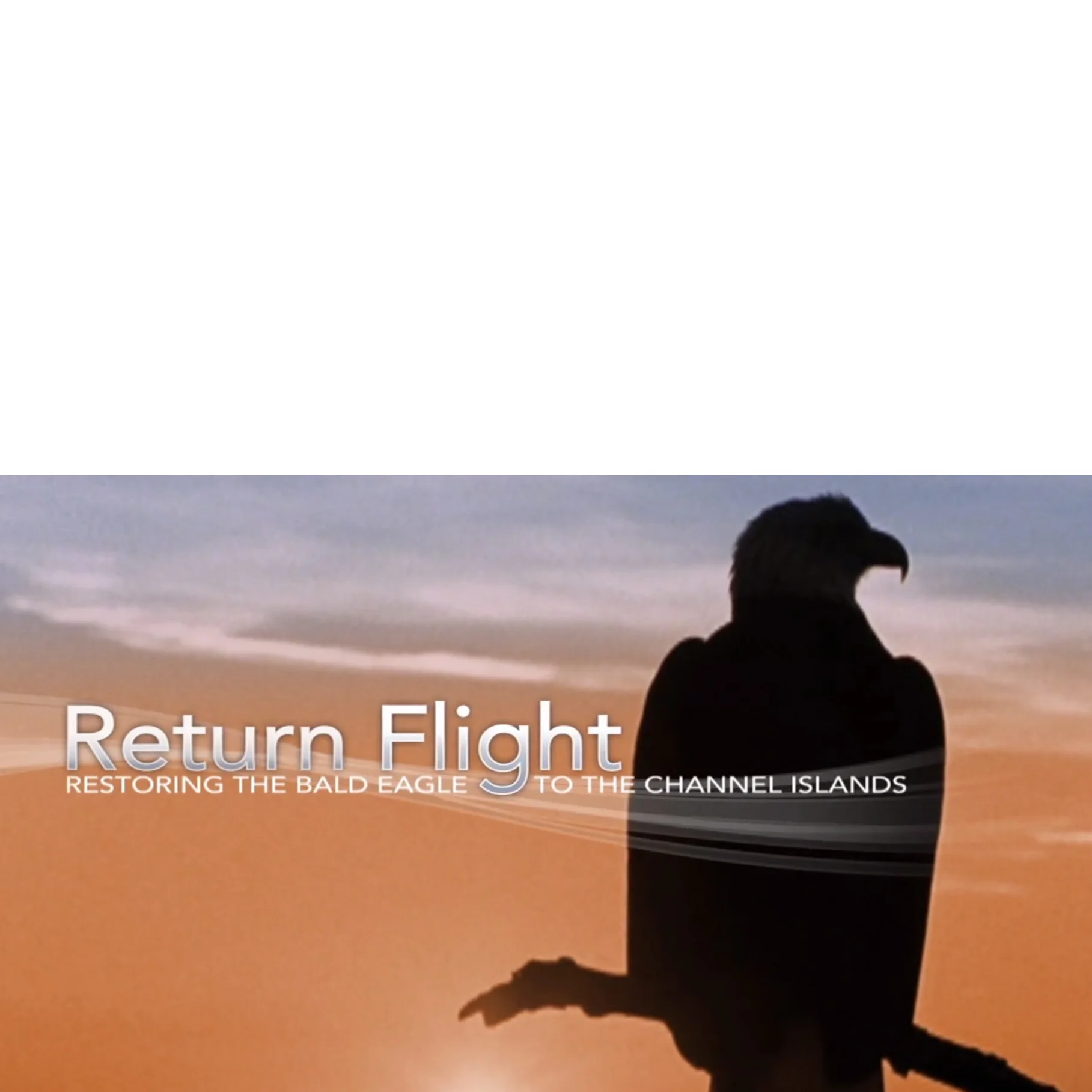 Screen Shot 2016-05-13 at 1.41.41 PM.jpg