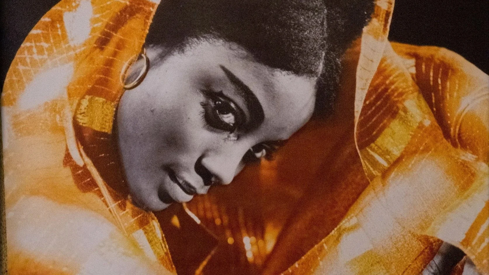 Fiscal Sponsorship Spotlight