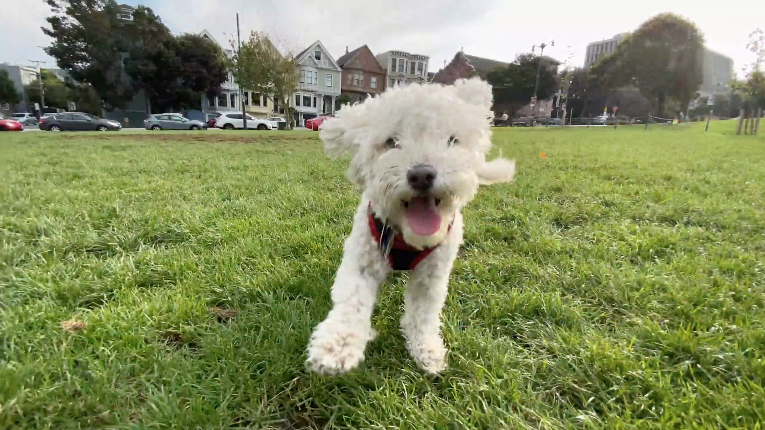 Screen Shot 2021-12-13 at 9.33.46 PM.png