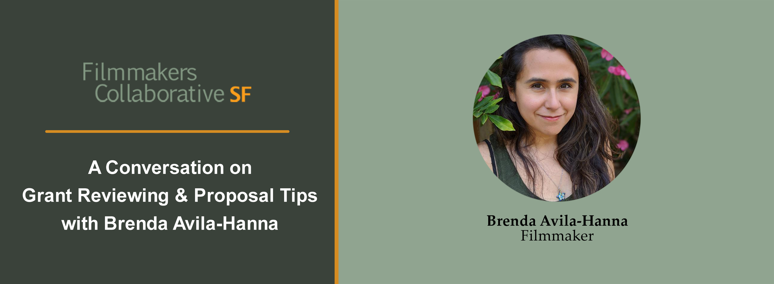 A Conversation on Grant Reviewing & Proposal Tips with Brenda Avila-Hanna