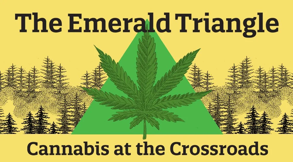 the-emerald-triangle-filmmakers-collaborative-sf