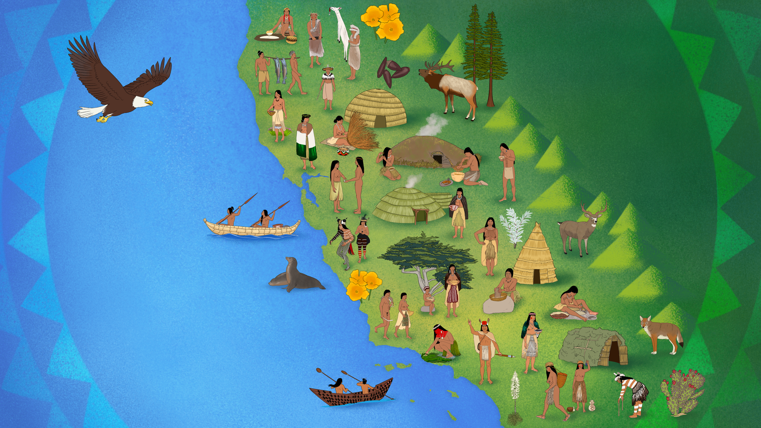 Fiscal Sponsorship Spotlight