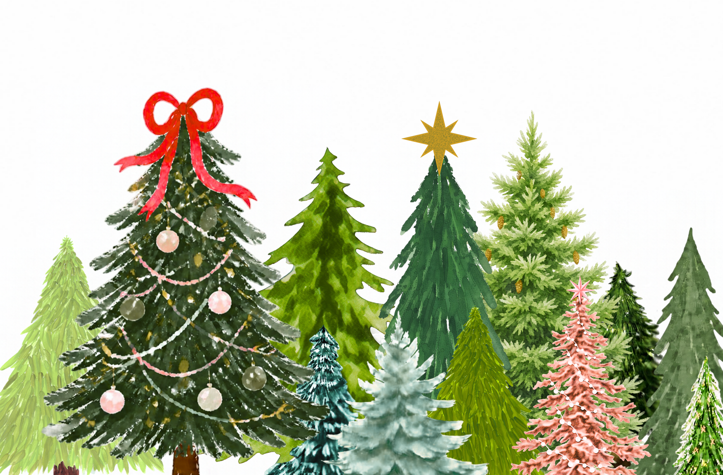 Festive Fridays &amp; November 6th Special Appearances