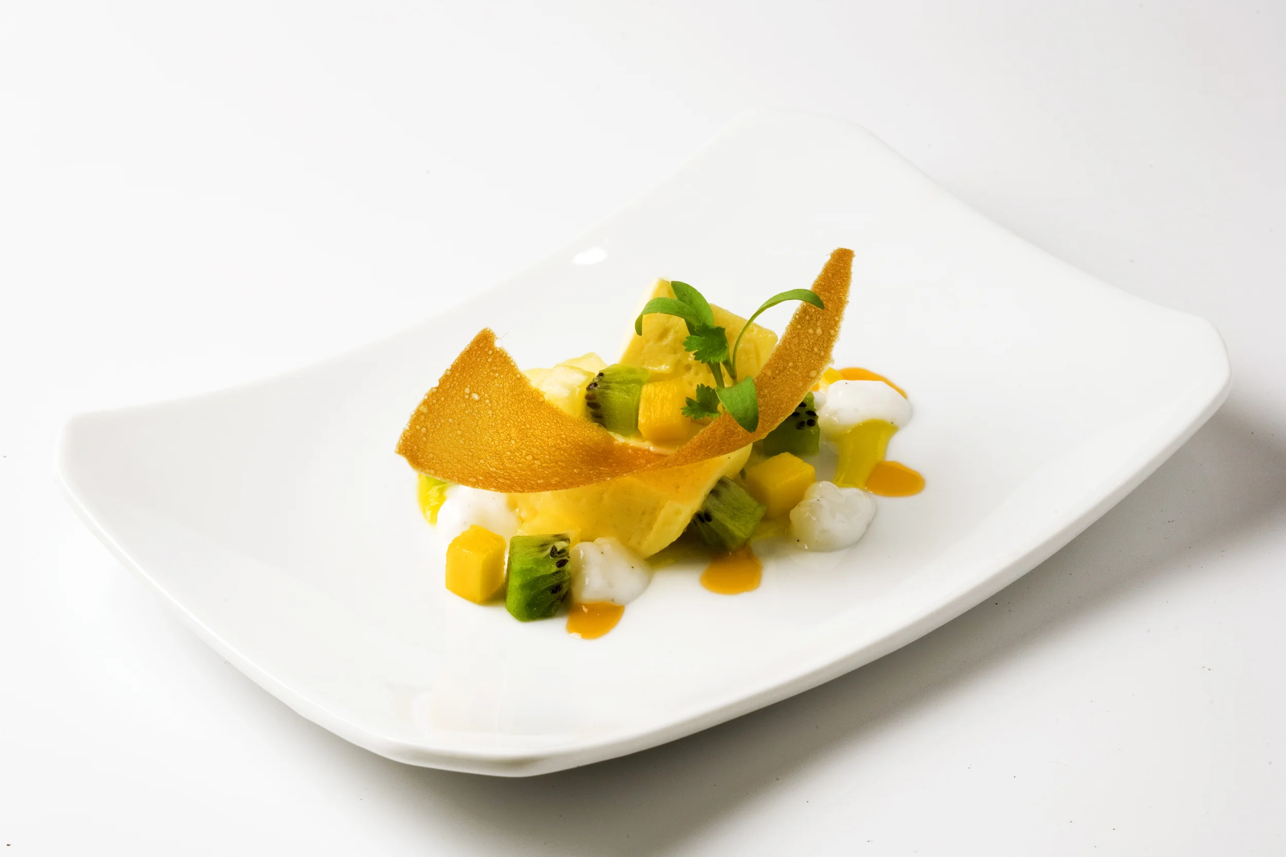 Passion Fruit Pudding w/ Tropical Fruits, Coconut Tapioca & Cilantro