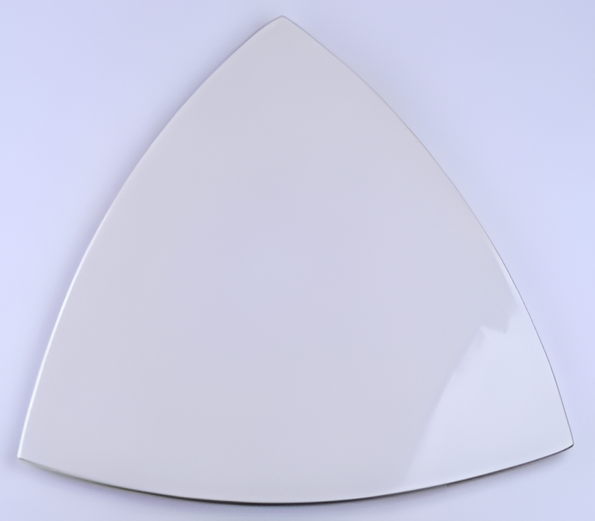STM 1010 (copy).png