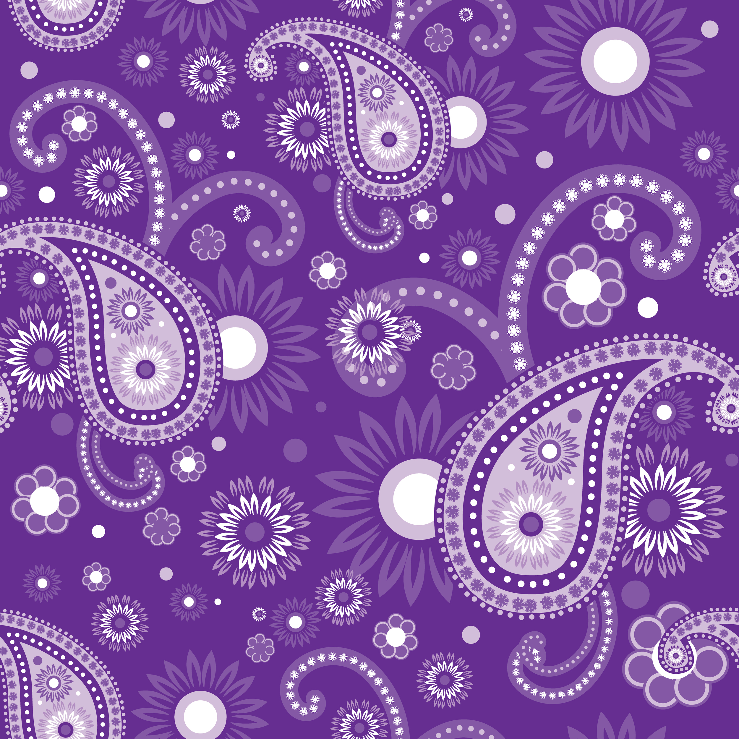 Purple_Paisley_Pale.jpg