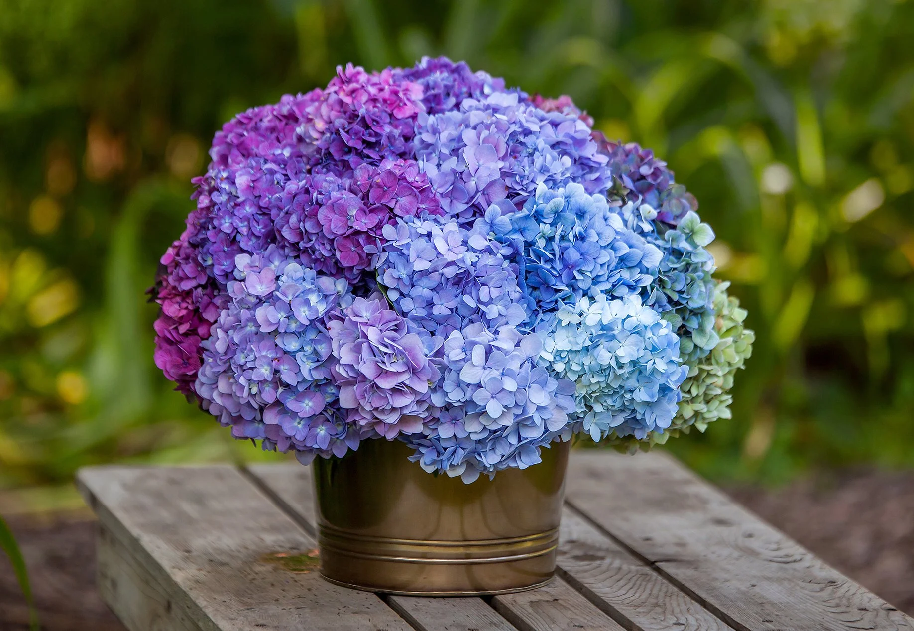 TracyWalshPhoto081WEB 2.jpg