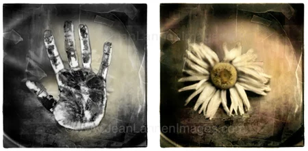 5 DBLHandDaisy.jpg