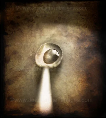 6 Spoon350.jpg