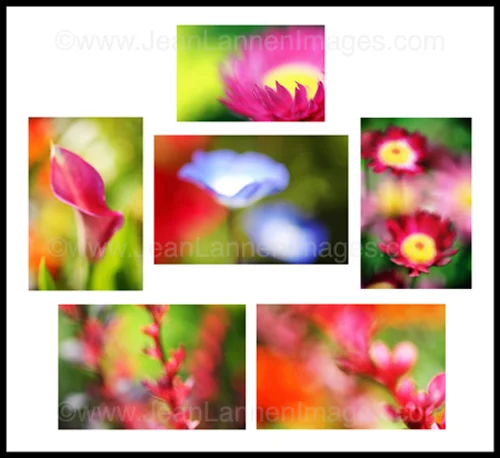 6 ChronFlowersGrid500.jpg