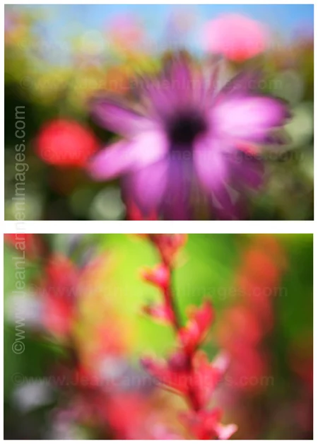 10 Flowerstwo450.jpg