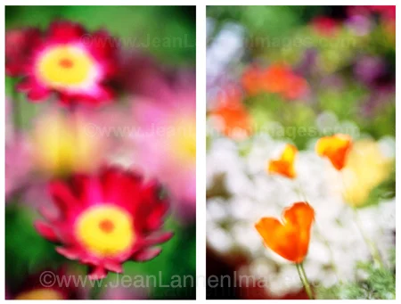 12 Flowersfour450.jpg