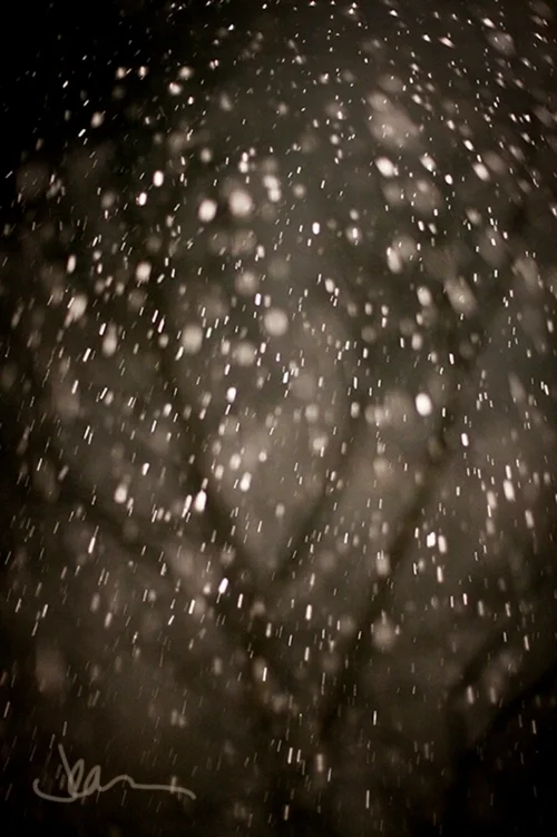 Snow 7047 Snow snow 700 SsS.jpg