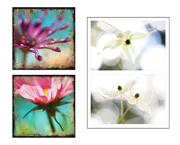 **Flower Power for blog 600 pixels.jpg