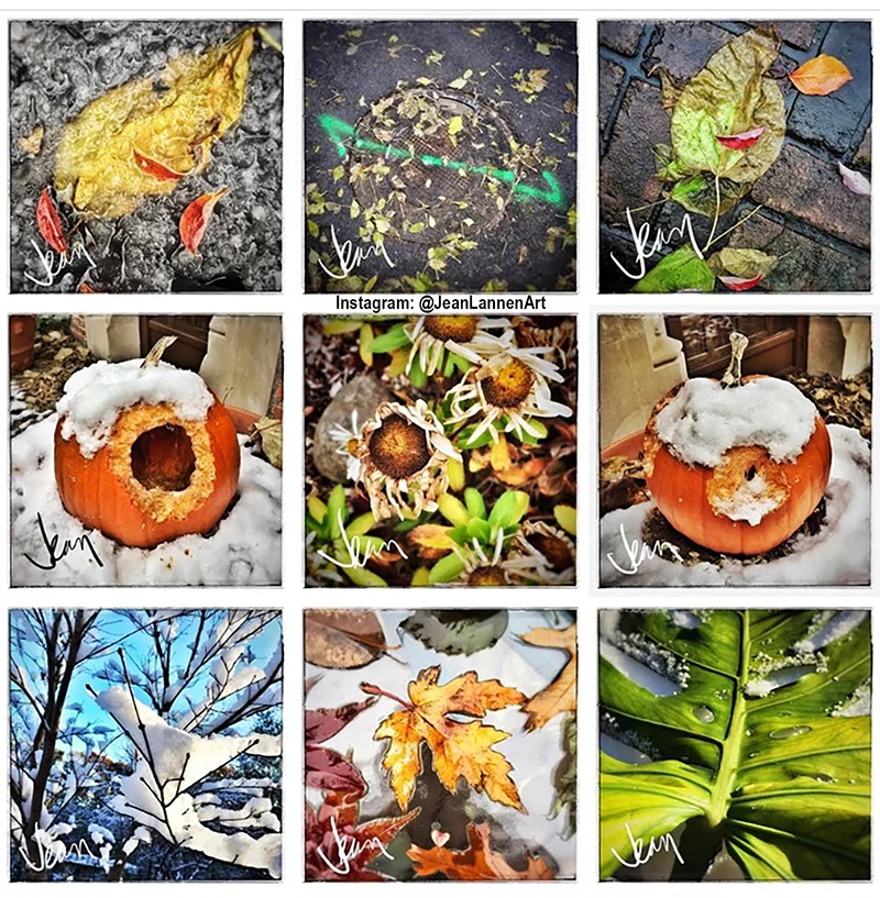 IG Squares for FB use small ss.jpg