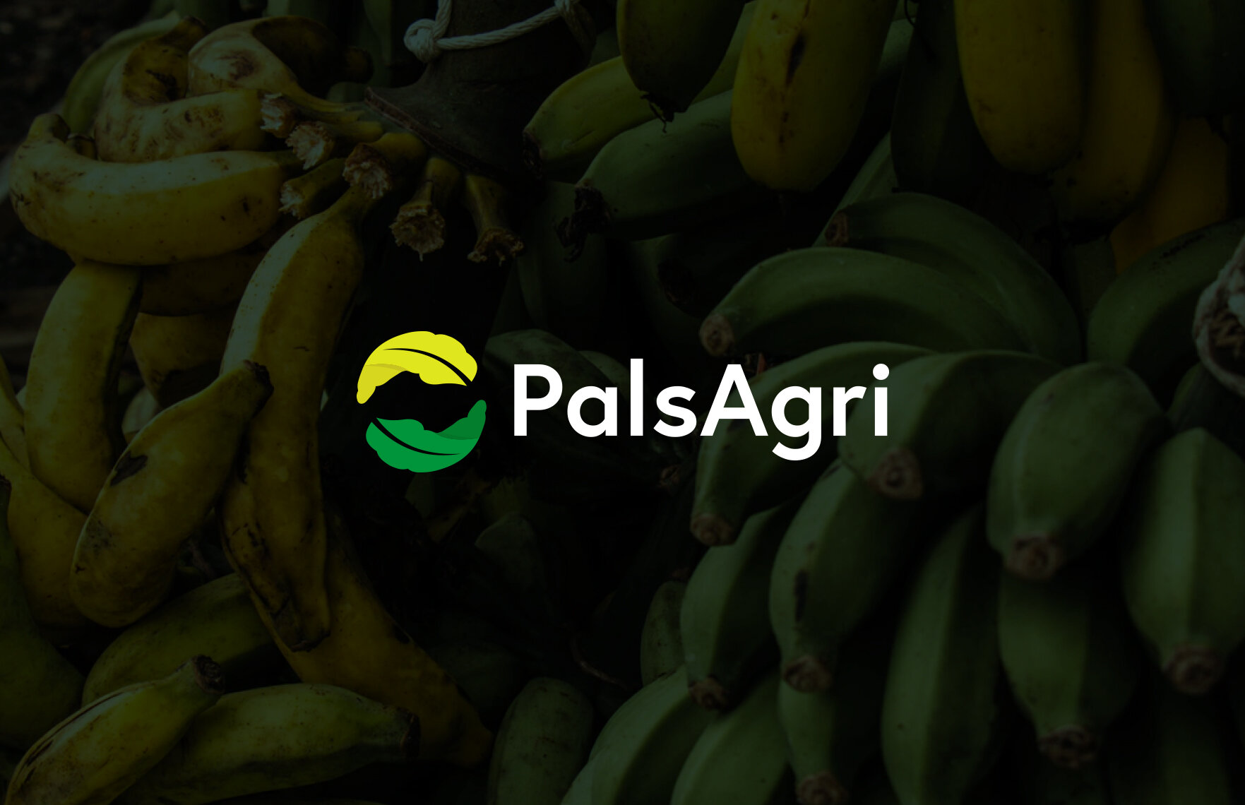 palsagri-frame2.jpg