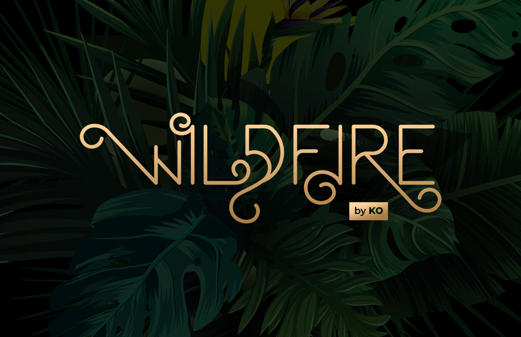 Logo design for Wildfire a liquer brand that infuses alcohol with distinctly Kenyan fruits, herbs and spices.