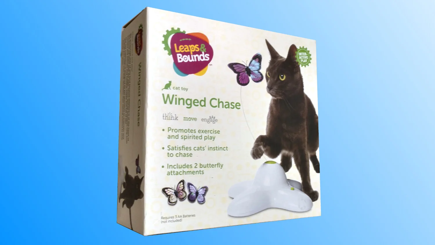winged-1.jpg