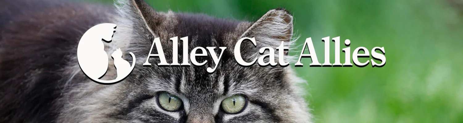 alleycatallies.jpg