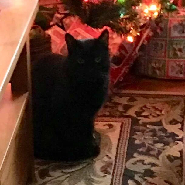 Alfie