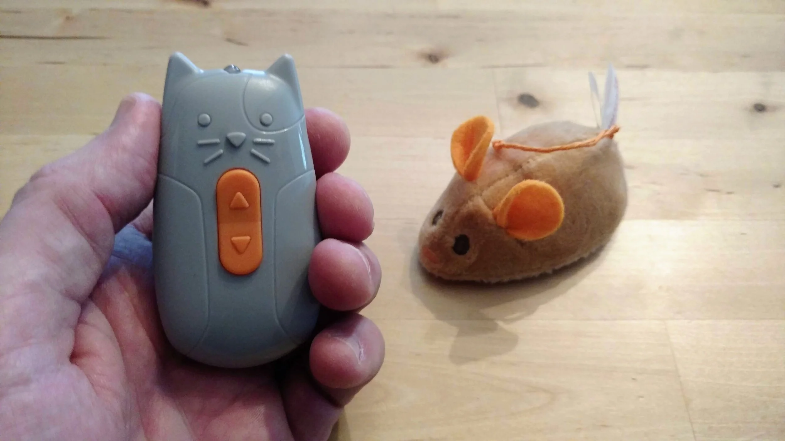 bichon frise and mini poodle mix