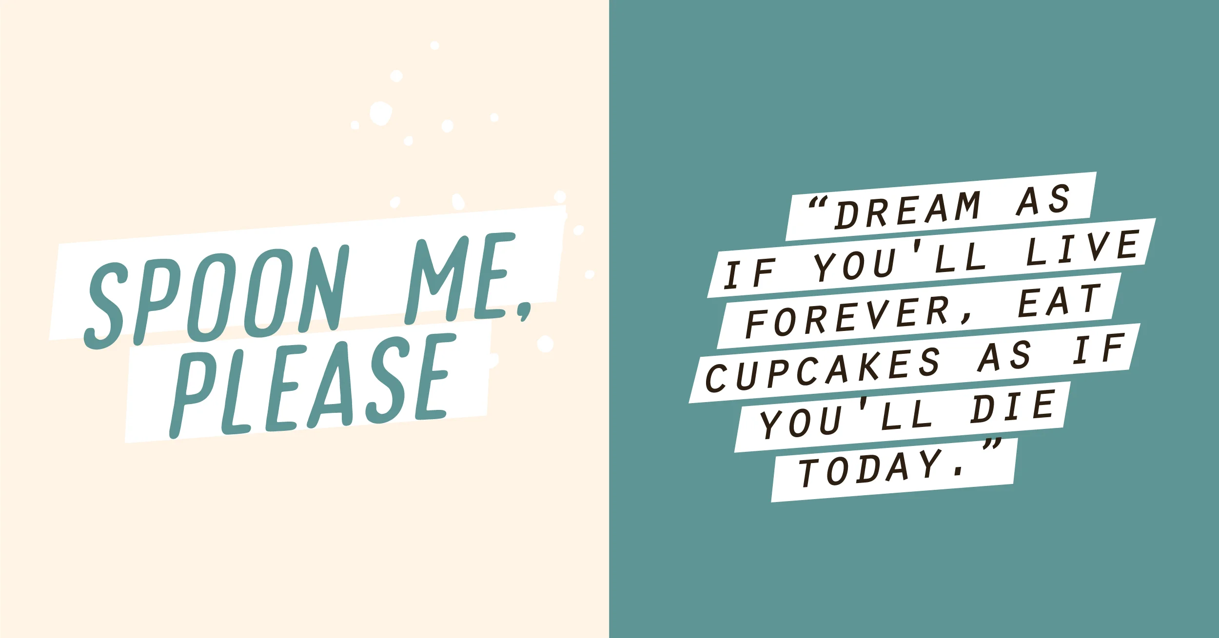   PREVIOUS PROJECT  |  NEXT PROJECT  