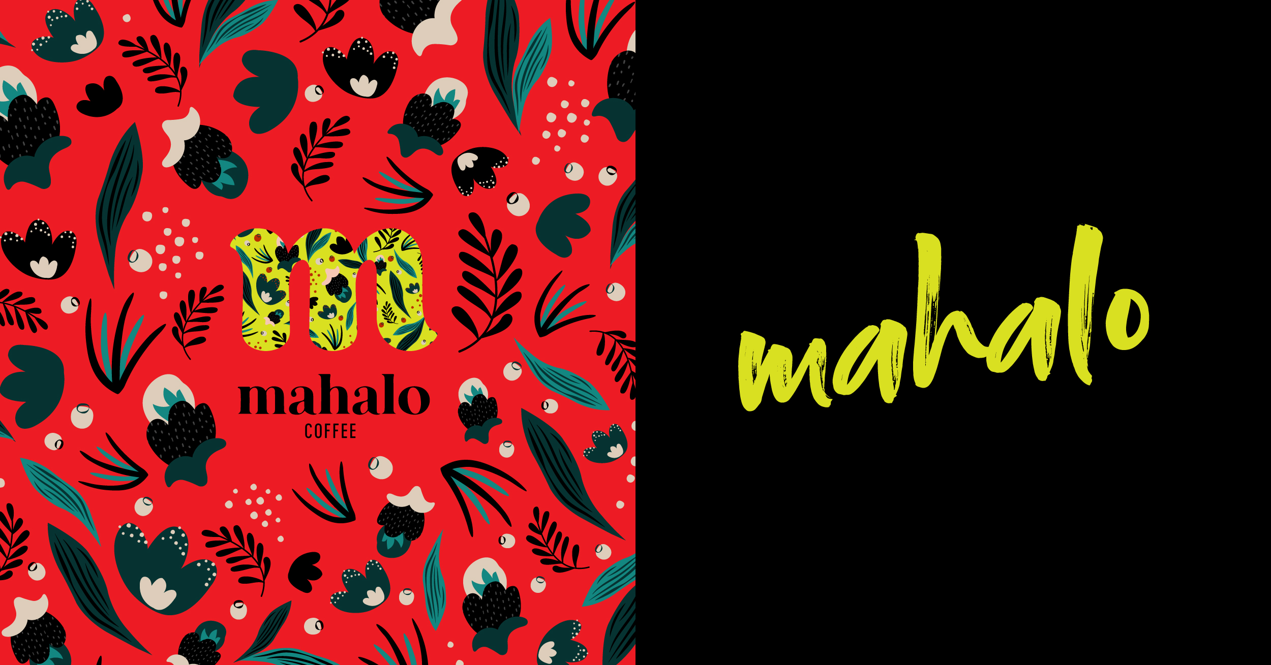 Mahalo is a subscription-based coffee shipping you the freshest beans straight from Hawaii to your doorstep. Enjoy a new roasted flavor each month along with a pamphlet that tells you about your local Hawaiian coffee roaster and what makes the flavo
