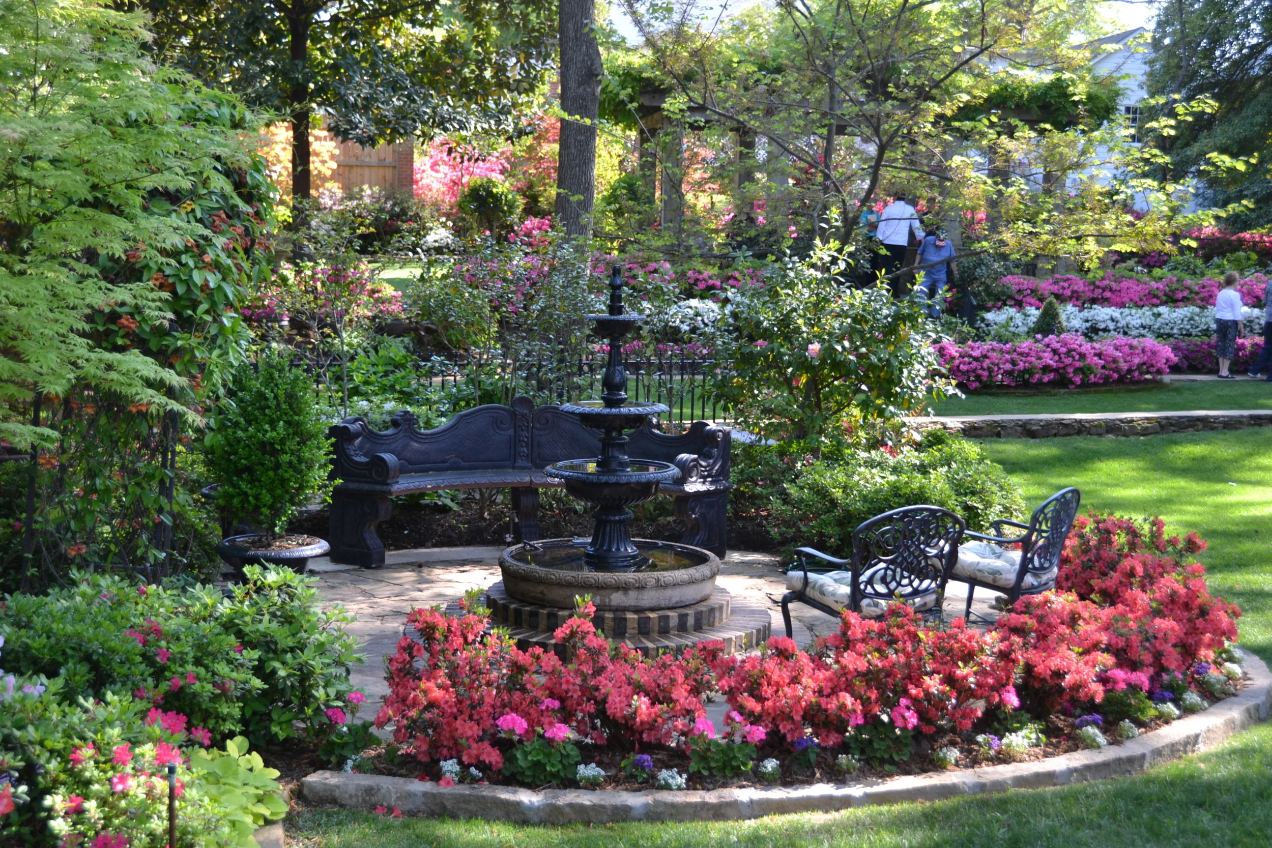 Tyler Azalea Trail