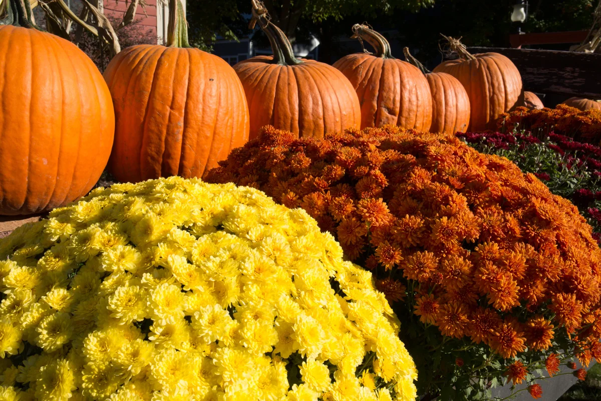 The Fall-Vermont-7506-1200.jpg