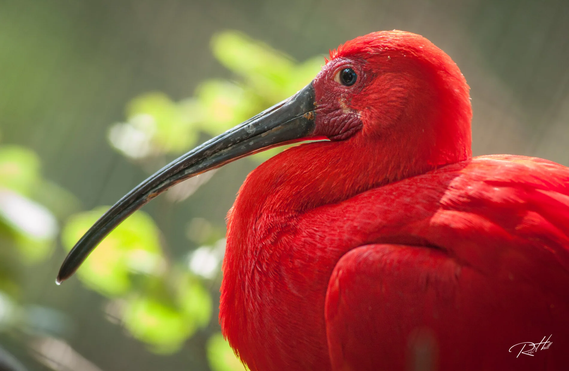 Caldwell Zoo